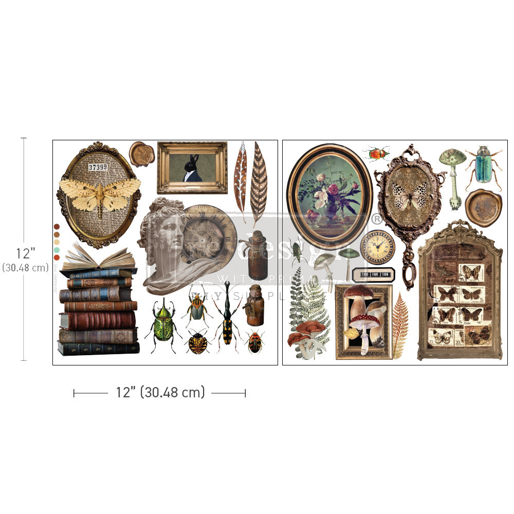 COLLECTOR'S CLOSET - 30cm x 30cm - Redesign Decor Transfer Decal