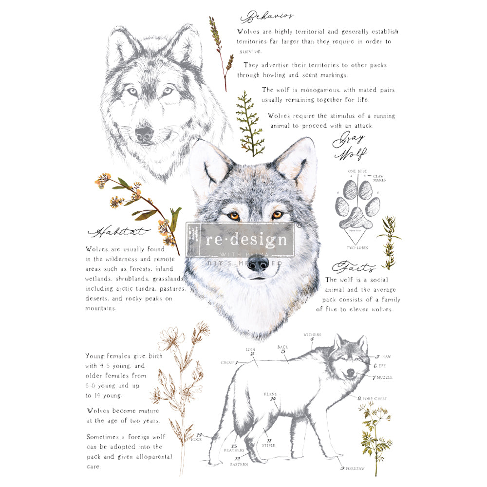 GRAY WOLF - 61cm x 89cm - Redesign Decor Transfer Decal