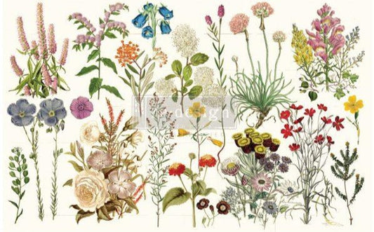 Decoupage Decor Tissue Paper - WILD HERBS - 19″ X 30″ Re-Design with Prima
