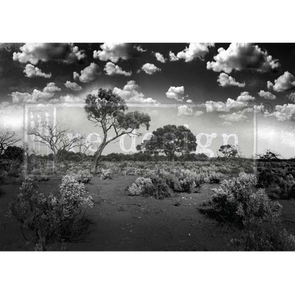 SERENE WILDERNESS - A1 Rice Paper for Decoupage - LARGE - 59.4cm x 84.1cm - Re-Design with Prima