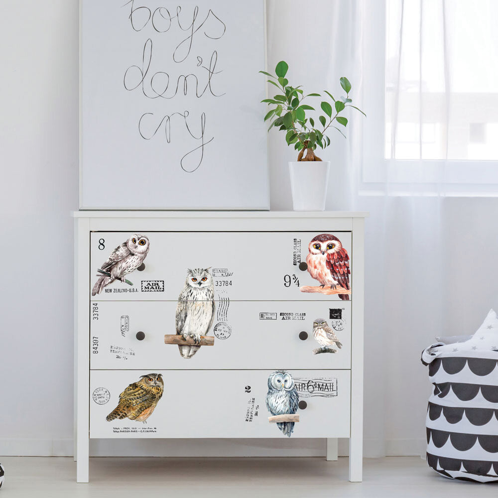 OWL - 3 sheets - 15cm x 30cm each - Redesign Decor Transfer Decal