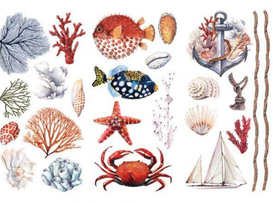 AMAZING SEA LIFE - 3 sheets - 15cm x 30cm each - Redesign Decor Transfer Decal