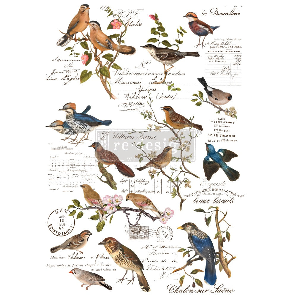 POSTAL BIRDS - 24" x 35" - Redesign Decor Transfer Decal Media 1 of 4