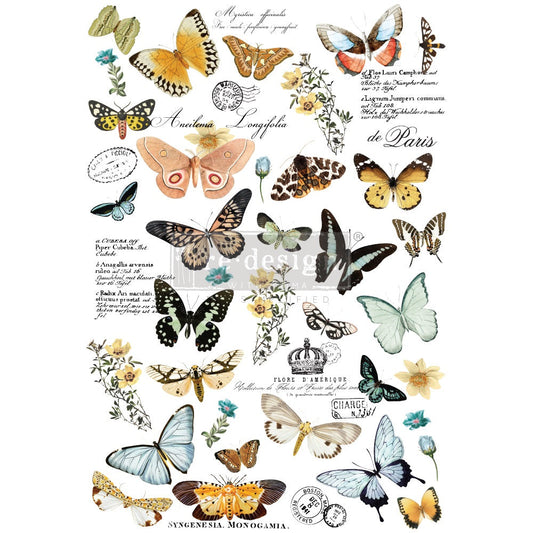BUTTERFLY DANCE - 24" x 35" - Redesign Decor Transfer Decal