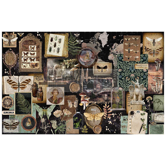 Decor Tissue Paper - HERBARIUM NOTES - 48.3cm x 76.2cm - Re-Design with Prima