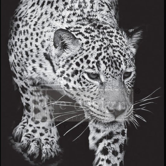 FELINE GAZE - A1 Rice Paper for Decoupage - LARGE - 59.4cm x 84.1cm - Re-Design with Prima