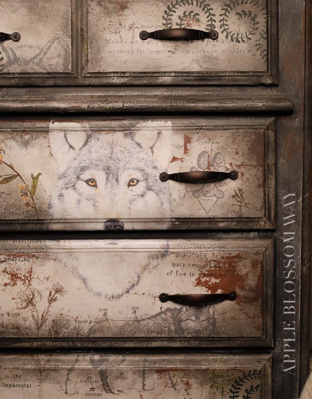 GRAY WOLF - 61cm x 89cm - Redesign Decor Transfer Decal