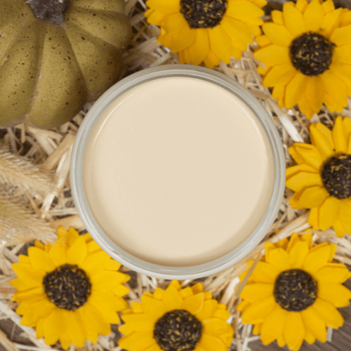 CASHMERE - Suzanne's Fall Colours - Dixie Belle Mineral Chalk Paint - 473ml